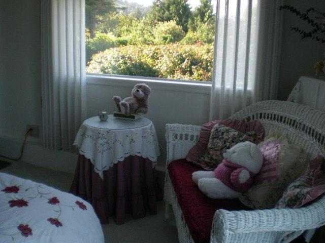 Island View B&B Nanaimo Ruang foto